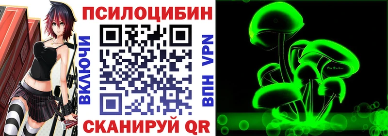 хочу   Южно-Сахалинск  Псилоцибиновые грибы Psilocybine cubensis 